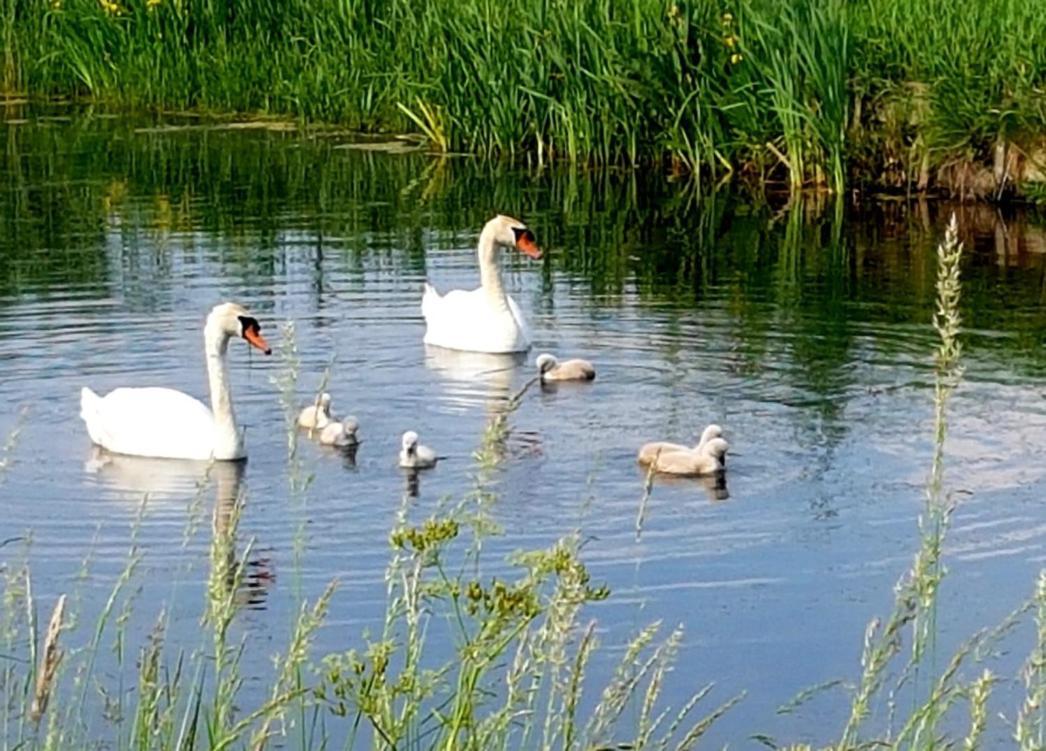 Bed & Breakfast Bed En Brood Donna